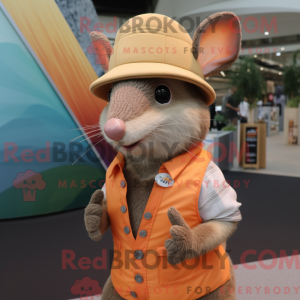 Costume mascotte de tatou...