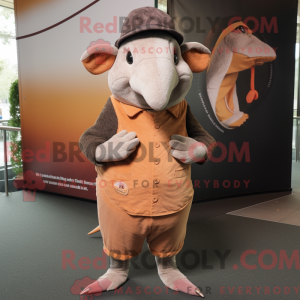 Costume mascotte de tatou...