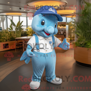 Sky Blue Dolphin...