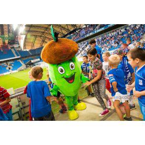 Giant brown and green acorn mascot. Acorn costume -