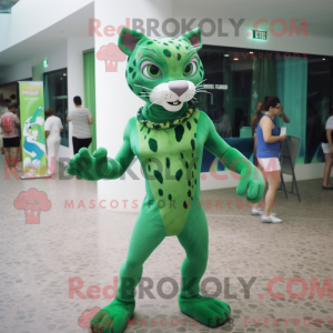 Costume mascotte de Bobcat...
