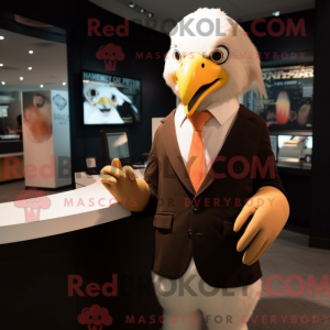 Pfirsichweißkopfseeadler-Ma...
