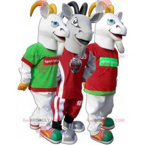 Mascot deporte cabra. Traje de cabra gris en ropa deportiva -
