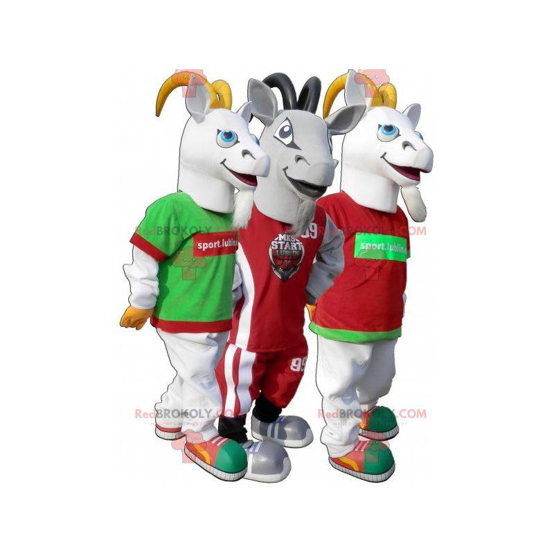 Mascot sport goat. Gray goat suit in sportswear - Redbrokoly.com