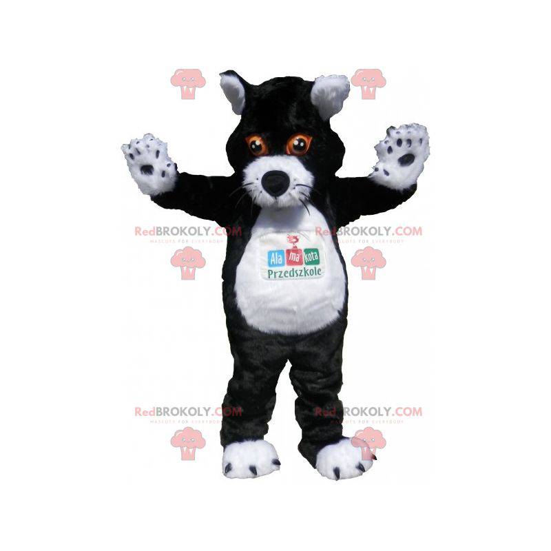 Černá a bílá kočka maskot s oranžovýma očima - Redbrokoly.com Černá a bílá kočka maskot s oranžovýma očima - Redbrokoly.com