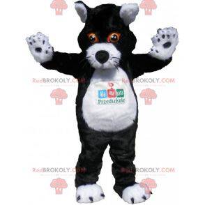 Mascote gato preto e branco com olhos laranja - Redbrokoly.com