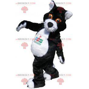 Mascote gato preto e branco com olhos laranja - Redbrokoly.com