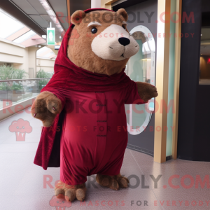 Maroon Capybara mascot...