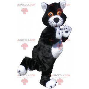 Schwarzweiss-Katzenmaskottchen mit orangefarbenen Augen -