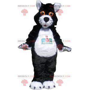 Mascote gato preto e branco com olhos laranja - Redbrokoly.com