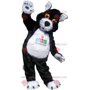 Schwarzweiss-Katzenmaskottchen mit orangefarbenen Augen -