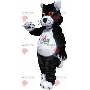 Mascote gato preto e branco com olhos laranja - Redbrokoly.com