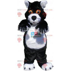 Mascote gato preto e branco com olhos laranja - Redbrokoly.com