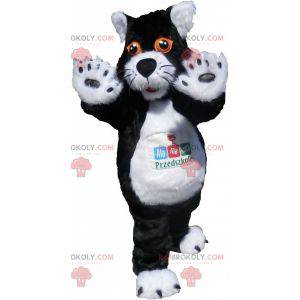 Black and white cat mascot with orange eyes - Redbrokoly.com