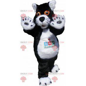 Mascote gato preto e branco com olhos laranja - Redbrokoly.com