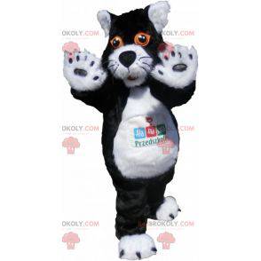 Schwarzweiss-Katzenmaskottchen mit orangefarbenen Augen -