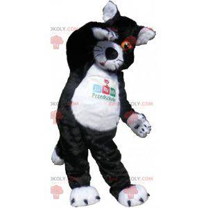 Mascote gato preto e branco com olhos laranja - Redbrokoly.com