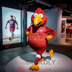 Maroon Chicken...