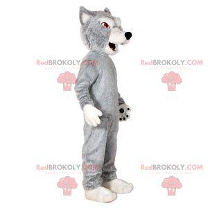 Gray and white wolf mascot. Wolf dog mascot - Redbrokoly.com