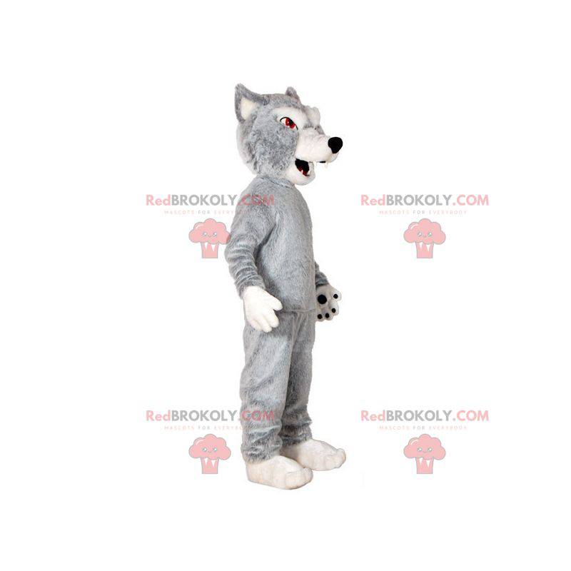 Graues und weißes Wolfsmaskottchen. Wolfshundemaskottchen -