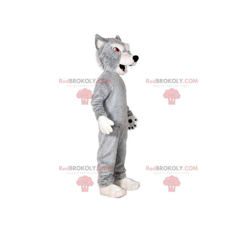 Mascotte grijze en witte wolf. Wolf hond mascotte -