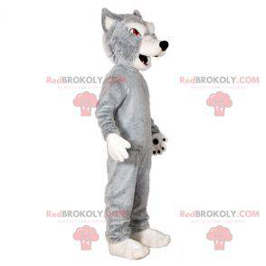 Grå og hvid ulvemaskot. Ulvhund maskot - Redbrokoly.com