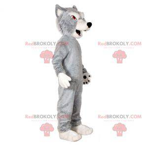 Mascotte de loup gris et blanc. Mascotte de chien-loup -