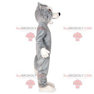 Mascotte de loup gris et blanc. Mascotte de chien-loup -