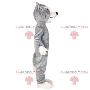 Mascota lobo gris y blanco. Mascota del perro lobo -