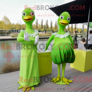 Lime Green Swans...