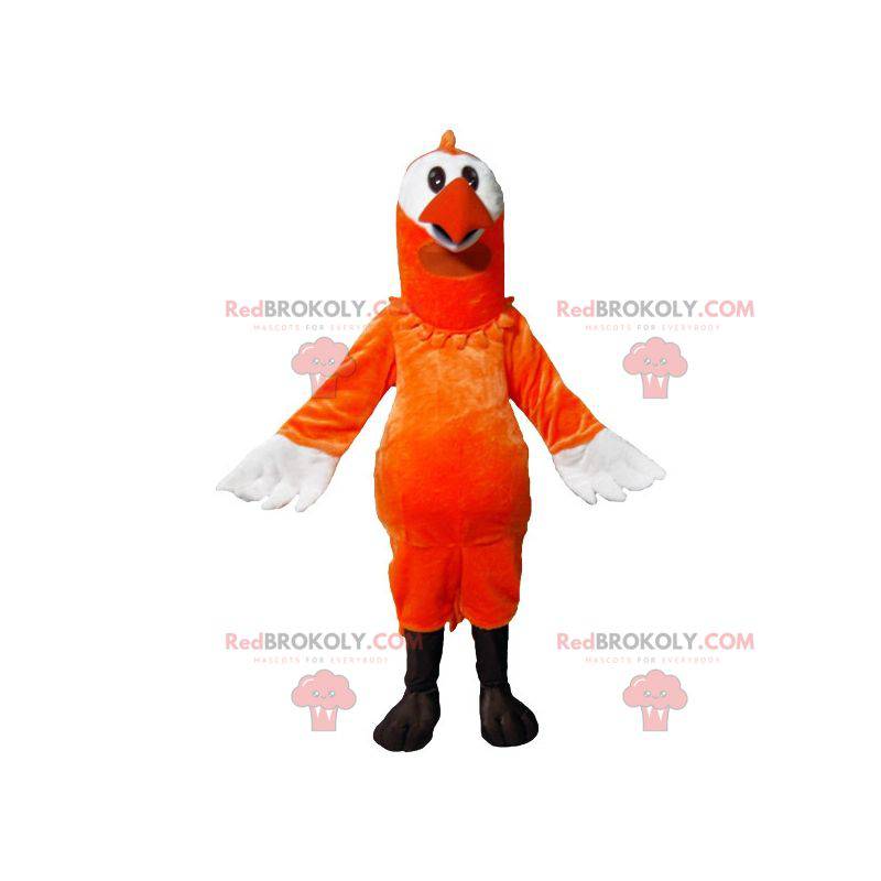Mascota pájaro naranja y blanco - Redbrokoly.com Mascota pájaro naranja y blanco - Redbrokoly.com
