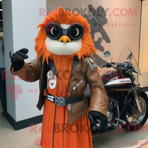 Orange Chief...