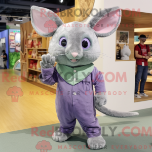 Lavendel Chinchilla...