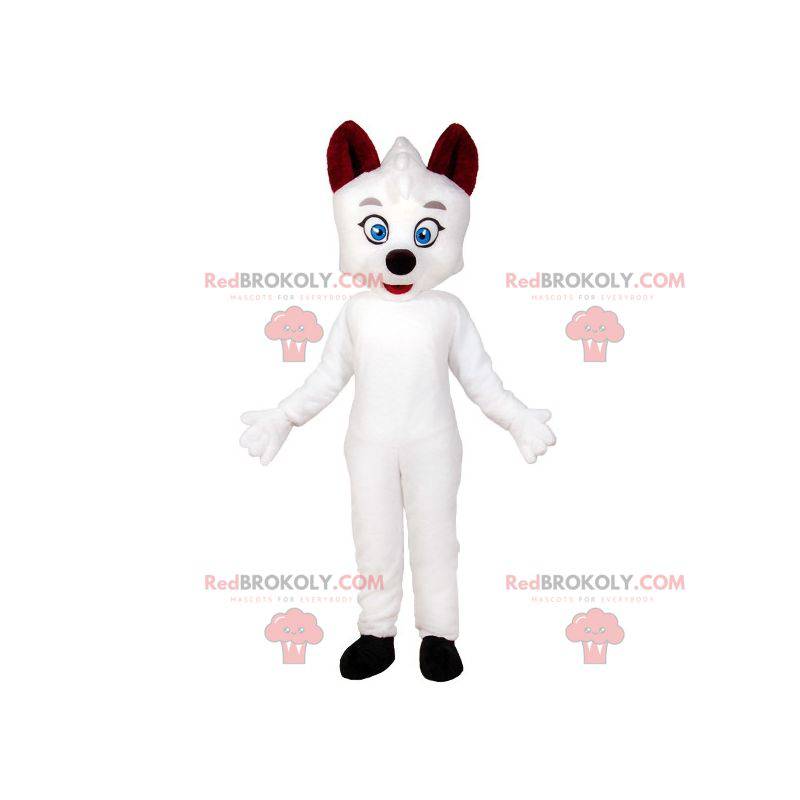Maskot bílá kočka s modrýma očima. Bílý pes maskot - Maskot bílá kočka s modrýma očima. Bílý pes maskot -