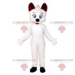 Hvit kattemaskot med blå øyne. Hvit hundemaskot - Redbrokoly.com