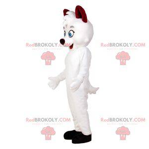 White cat mascot with blue eyes. White dog mascot -