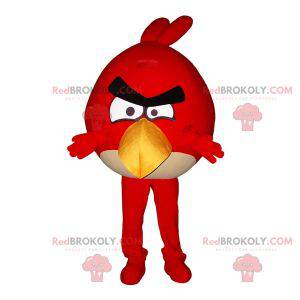 Mascot of the famous red bird from the video game Angry Birds -