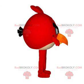 Mascot of the famous red bird from the video game Angry Birds -