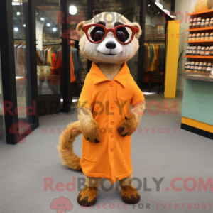 Oranje Meerkat...