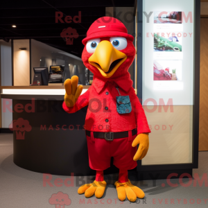 Rød papegøye maskot drakt...