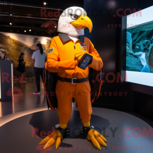 Costume mascotte de...