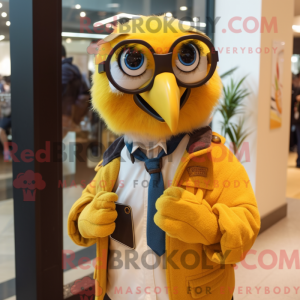 Gull Macaw maskotka...
