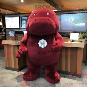 Maroon Stellar S Sea Cow...