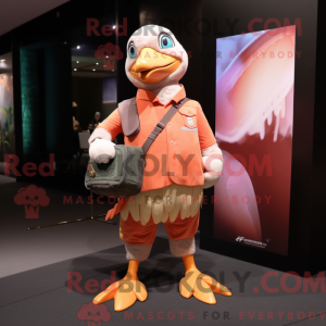Peach Pigeon...
