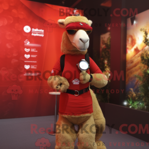 Red Camel-maskotdraktfigur...