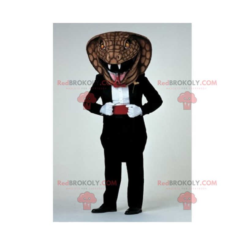 Cobra en vestido de gala - Redbrokoly.com