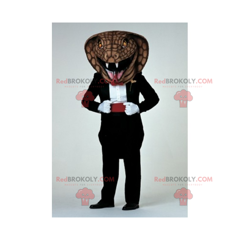 Kobra w galowej sukience - Redbrokoly.com