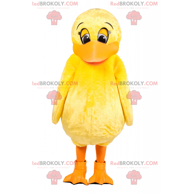 Adorable yellow chick mascot - Redbrokoly.com