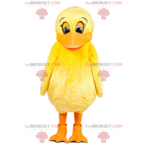 Roztomilý žlutý kuřátko maskot - Redbrokoly.com
