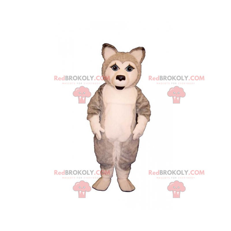 Mascote animal do bloco de gelo - cachorro husky -